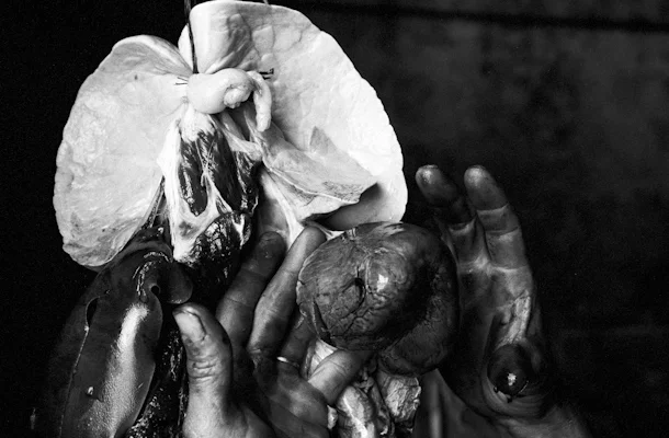 Gustav Eckart, Photographie
